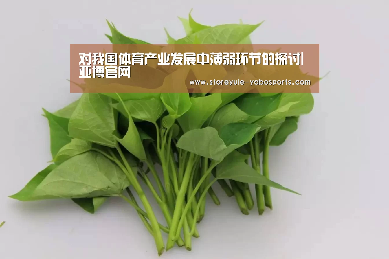 对我国体育产业发展中薄弱环节的探讨|亚博官网