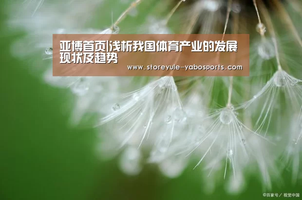 亚博首页|浅析我国体育产业的发展现状及趋势