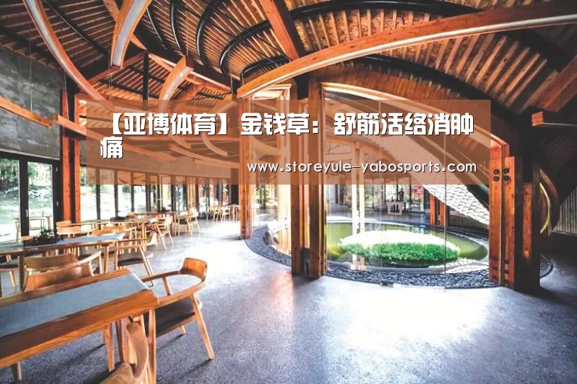 【亚博体育】金钱草:舒筋活络消肿痛(图3) 亚博娱乐